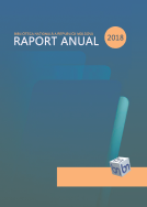 Raport anual 2018